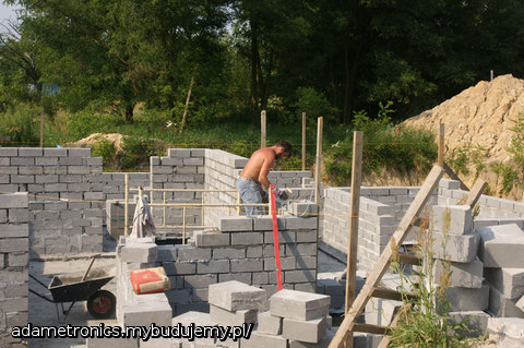 Niech sie mury pną do góry