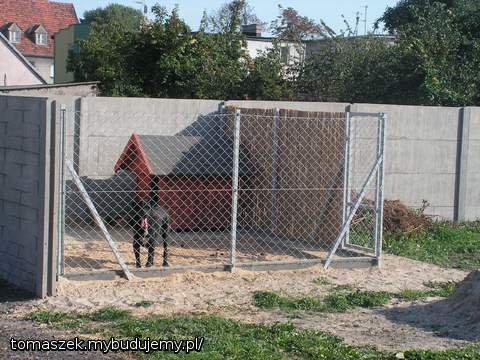 nasz pies obronny w kojcu