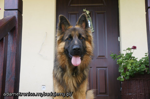 Ja tutaj Pilnuje:)))