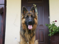 Ja tutaj Pilnuje:)))