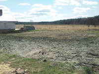 działka jeszcze nienaruszona