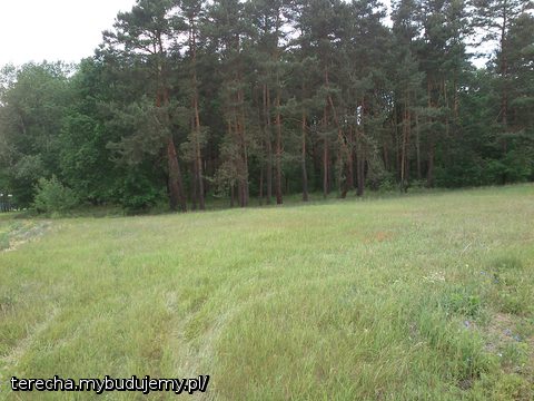 Wjazd
czerwiec 2012