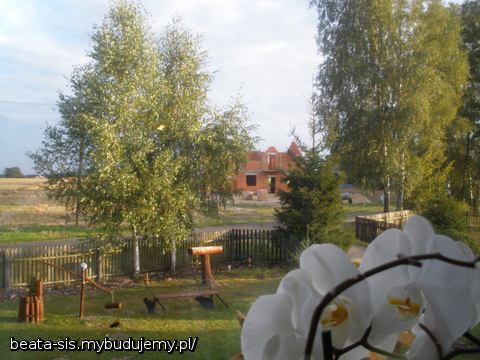 widok na dom z obecnego mieszkania