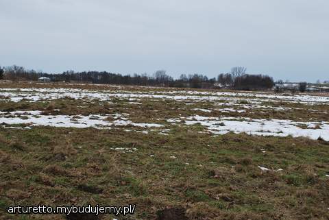 Powierzchnia naszej działki 0,3014 ha