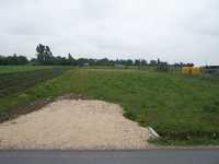 Pierwsza Fotka - ŁYSE POLE