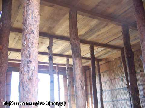 Tak jak u większości BOBÓW BUDOWNICZYCH tak i u nas LAS wyrósł w salonie..