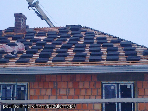 DACHÓWKA EURONIT PROFIL S