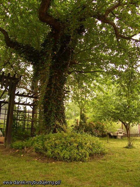 Działeczka, jeszcze bez zmian...