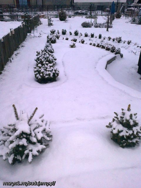 Ogród  zdj.1