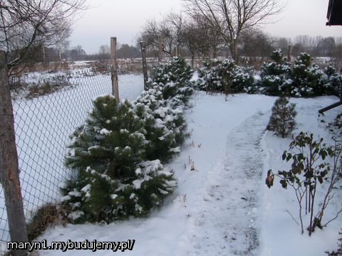 Ogród zdj.2