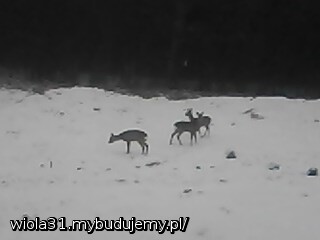 widok z salonu