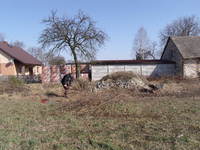 Przemas przy okopywaniu drzewek, w tle cegła czeka już na budowę:)