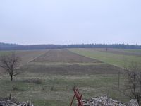 TU NA RAZIE JEST ŚCIERNISKO ALE BĘDZIE ....