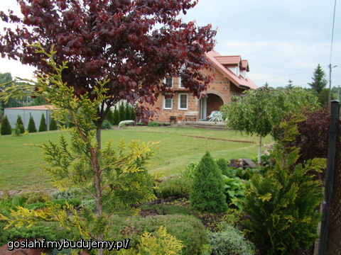 widok na dom z ogrodu