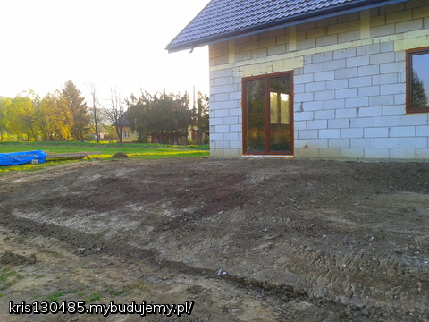 podwórko prawie obsypane