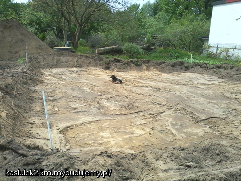 Tofik w salonie przy kominku. Ten to umie się ułożyć...