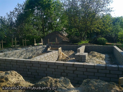 z widokiem na tył działki