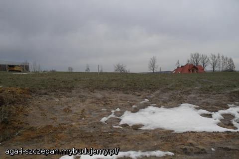tu na razie jest ściernisko:)