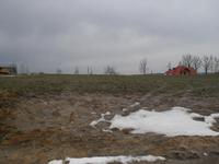 tu na razie jest ściernisko:)