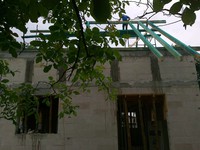 podglądałam dach spod orzecha:)