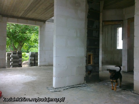 Tofik już doskonale wie którędy można sobie skrócić drogę