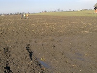 Wytyczenie 04.03.2013r