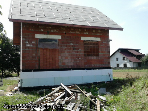 mikołajek od strony tarasu. w tym roku podsypie jeszcze ziemie na poziom foli kubełkowej i koniec. finito.