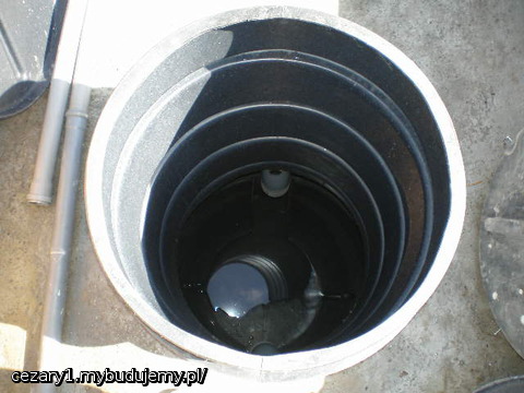 osadnik wstępny - druga komora