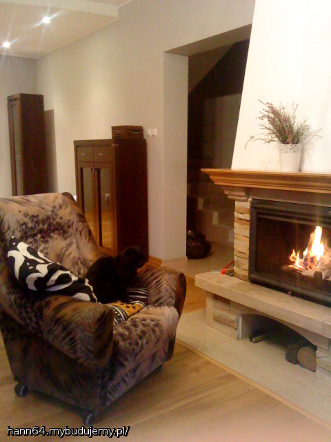 Obowiązkowo kot przed kominkiem