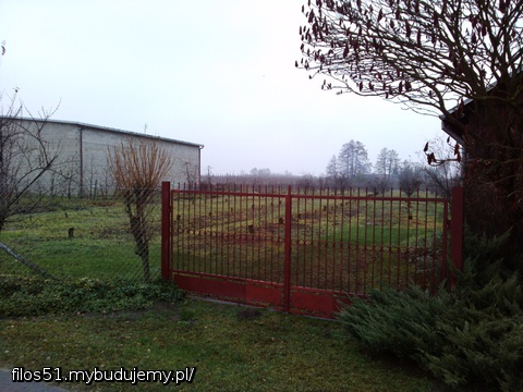 Wiśnie wycięte, widok z za bramy.