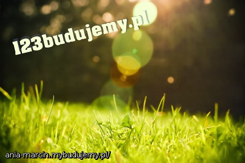 blog budowlany budowa domu