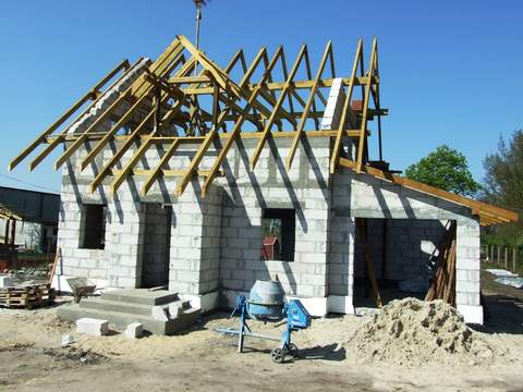 rozwiązane drzewo z przodu