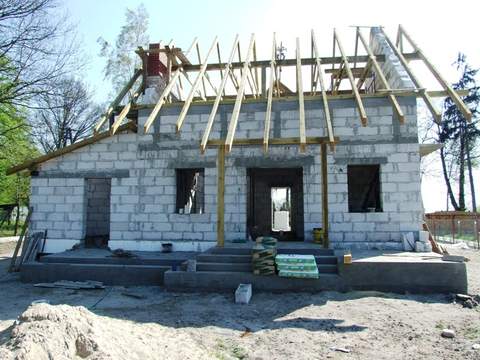 rozwiązane drzewo z tyłu