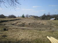 jeszcze nic nie widać,ale to dopiero początek