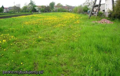 Tu będzie stał mój dom :)