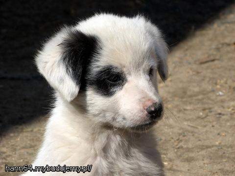 Wszystko co małe jest fajne