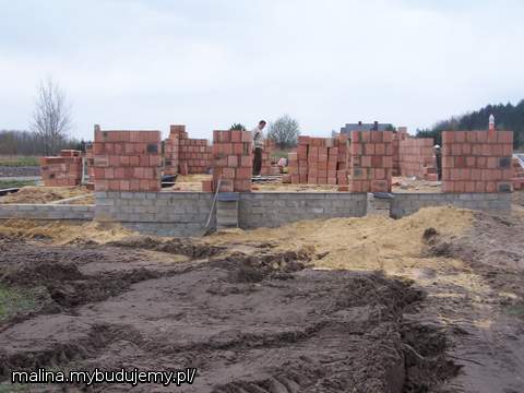 widok od strony salonu