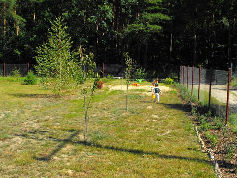 Żywopłot, mam cierpliwość