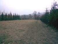 Działka jest w górach. Ma 17 arów.