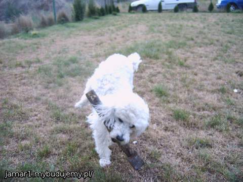 żadnej pracy sie nie boi