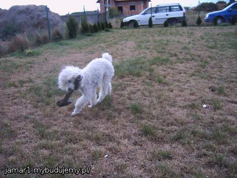 Jego ulubione narzędzie