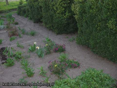 Ogródek babci- jakby to było gdyby go nie było...