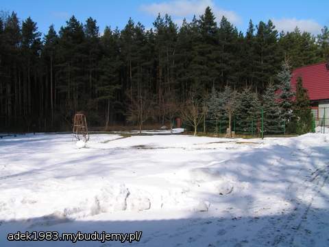 Działka zimą (marzec 2010)