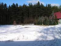 Działka zimą (marzec 2010)