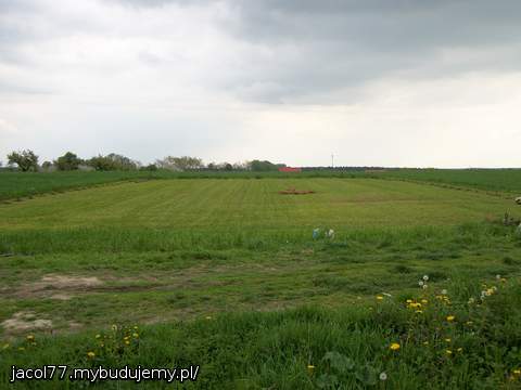 Oto moja działka 12,19 A a na niej ponad 100 drzewek