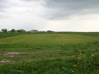 Oto moja działka 12,19 A a na niej ponad 100 drzewek