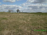 SŁUPKI..CZY JAK IM TAM:)