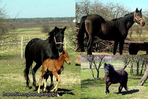Nie mogłam się powstrzymać. Oto Sabrina i mały Hassan, Sara i Marzenka.