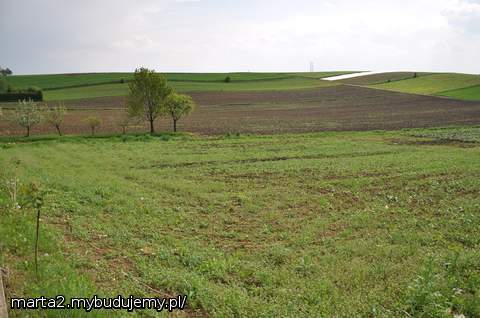 Nasza działka 12 ar niestety nadal pusta...
