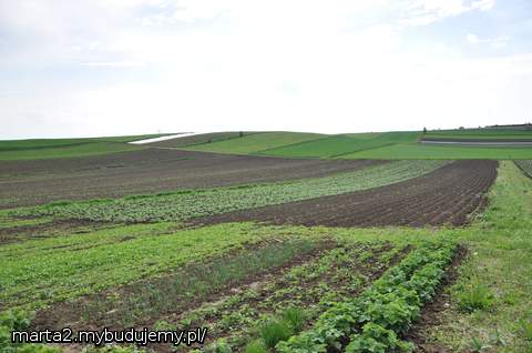 Teren przylegający do działki :)